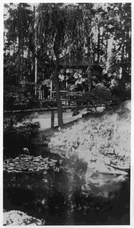 Teahouse and lily pond in Japanese Tea Gardens