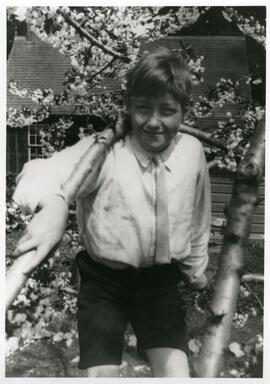 Peter Piddington in the cherry tree