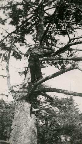 James Findlay in tree in Saxe Point Park
