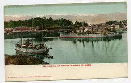 Ships in Esquimalt Harbour