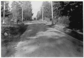 Lampson Street from Greenwood Avenue looking north