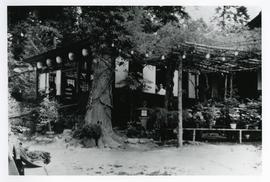 Teahouse in Japanese Gardens, exterior